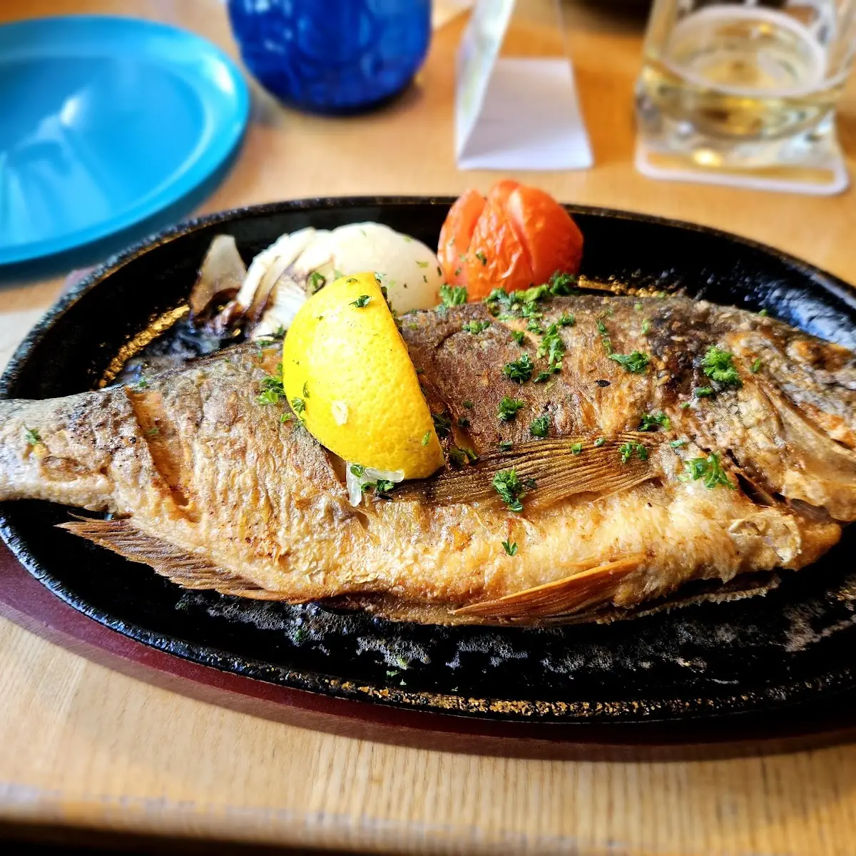Dorade