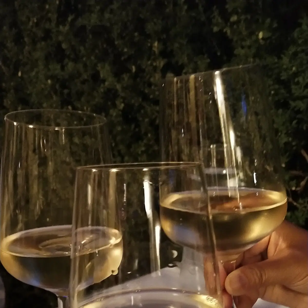 Wine