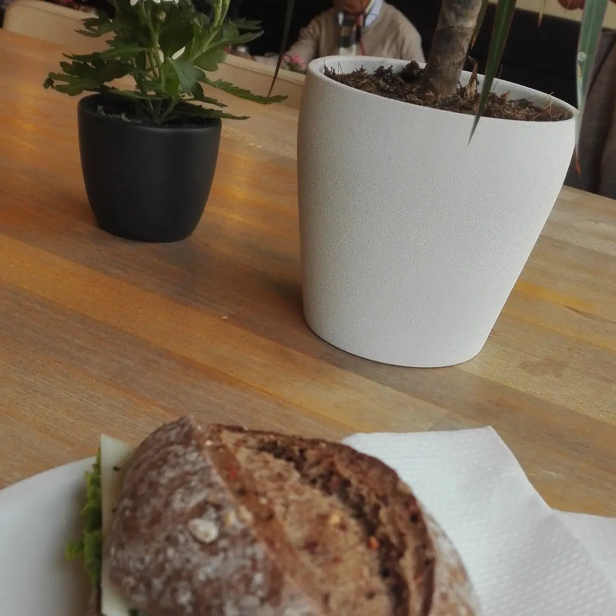Highlights, Oliv'chen Kaffeehaus