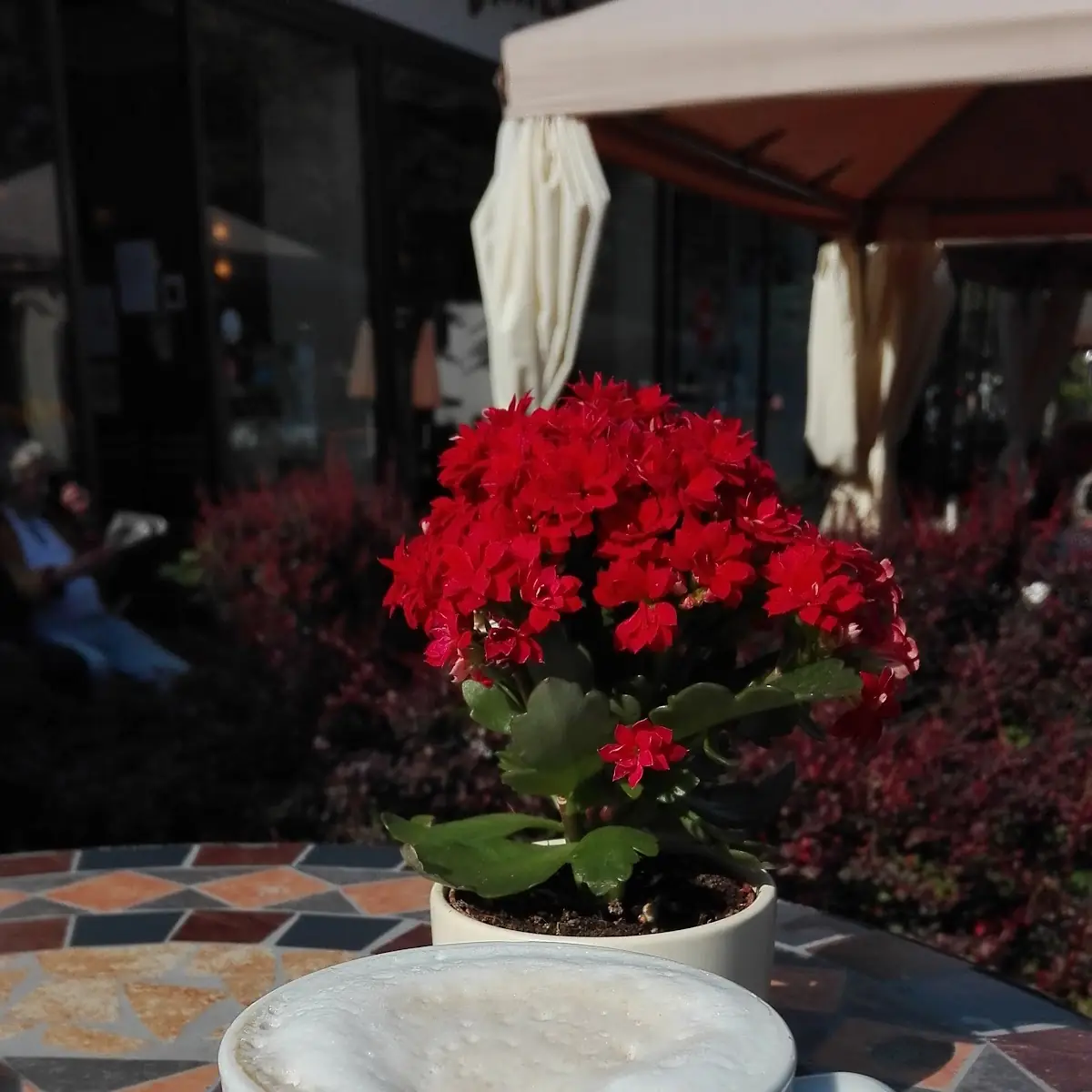 Highlights, Oliv'chen Kaffeehaus