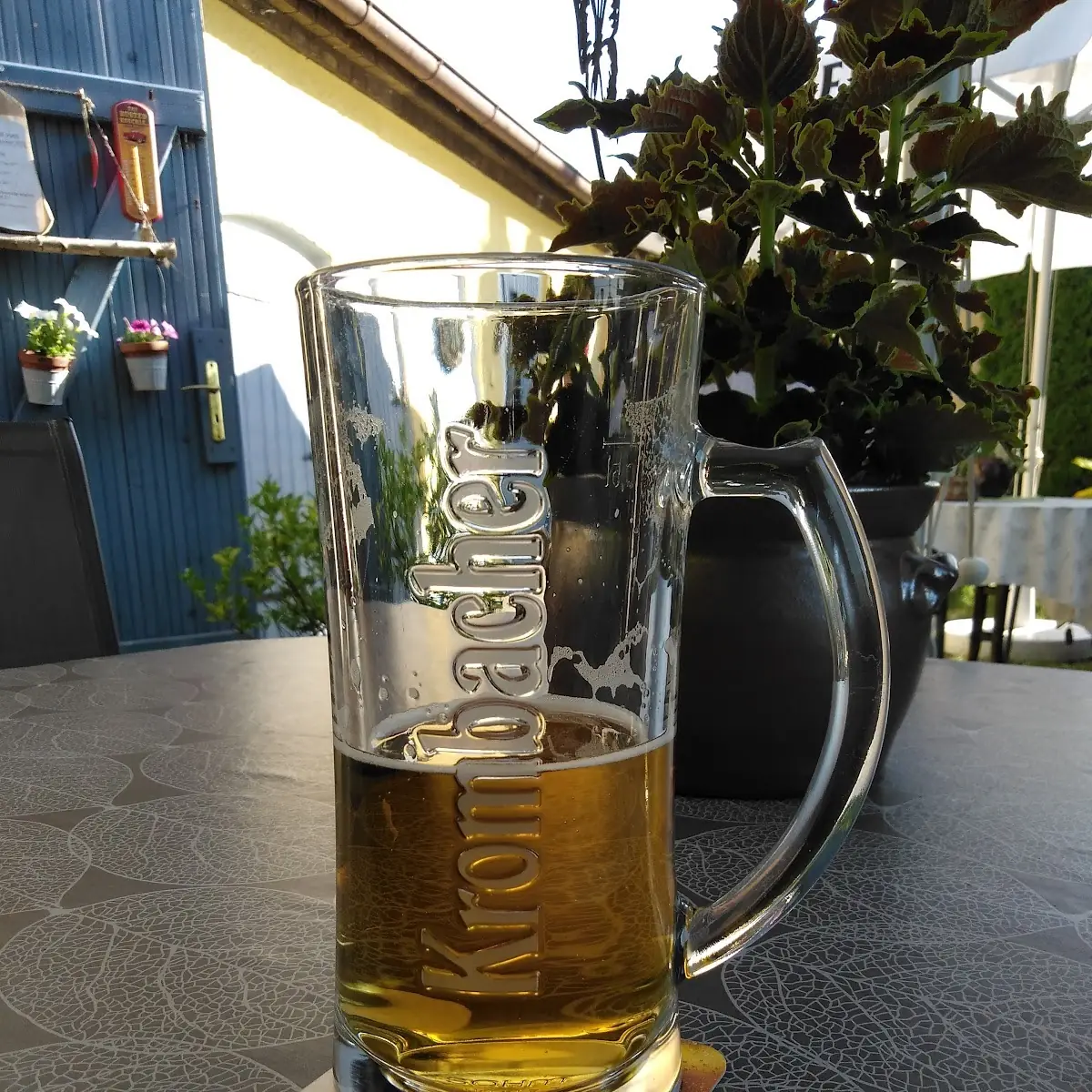 Bier