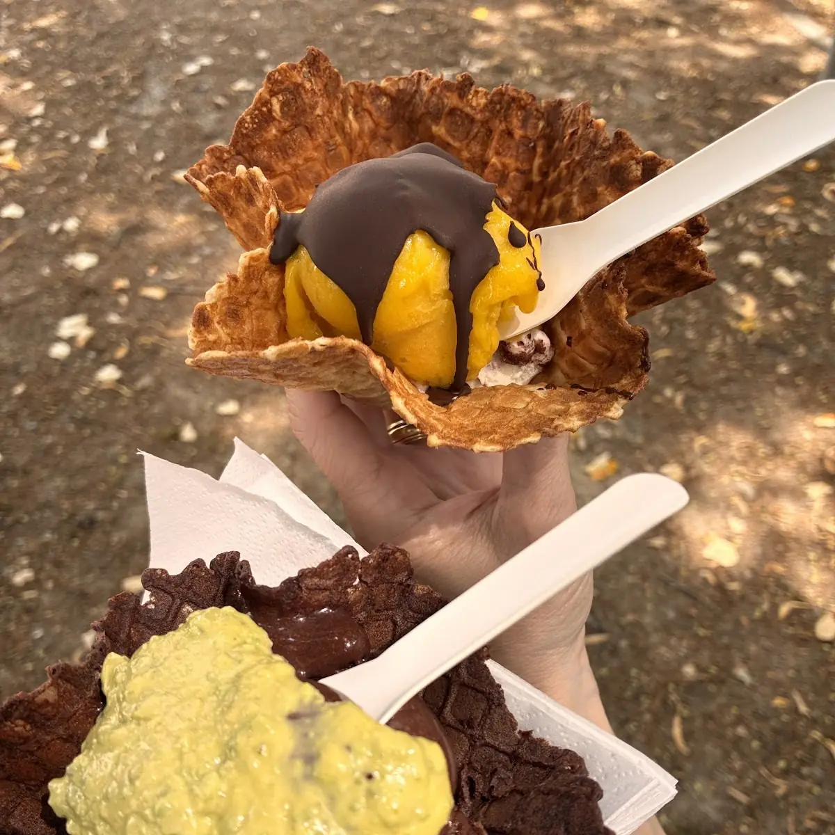 Mango Mit