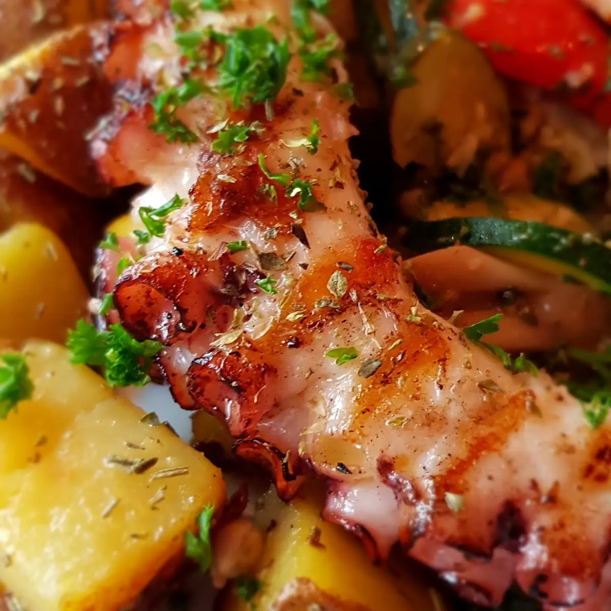 Grilled Octopus