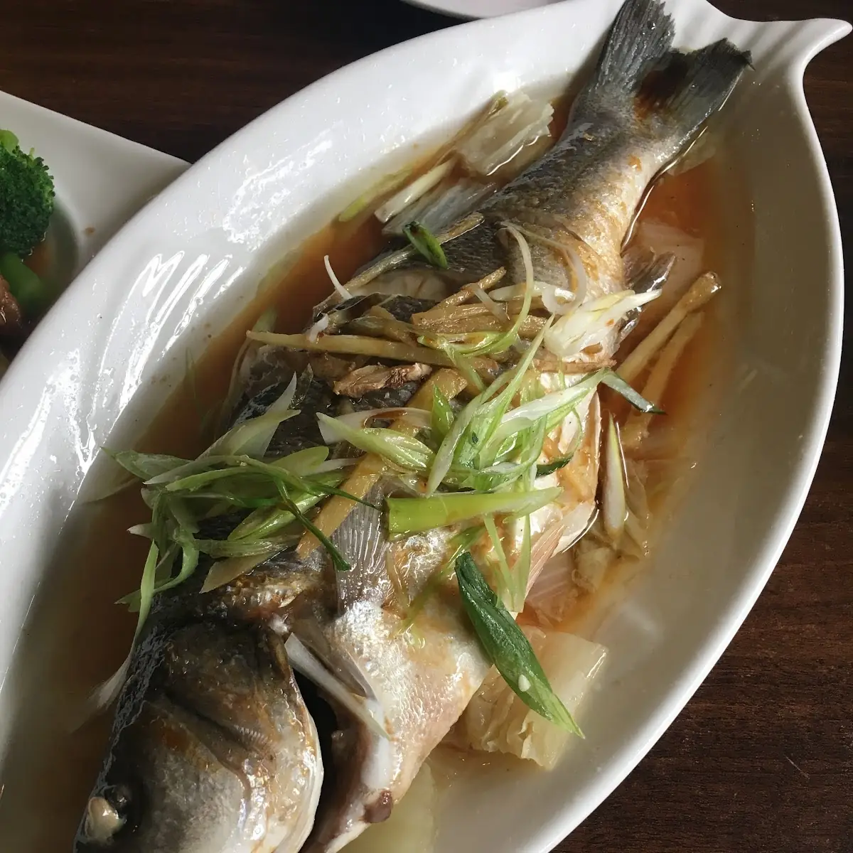Fish