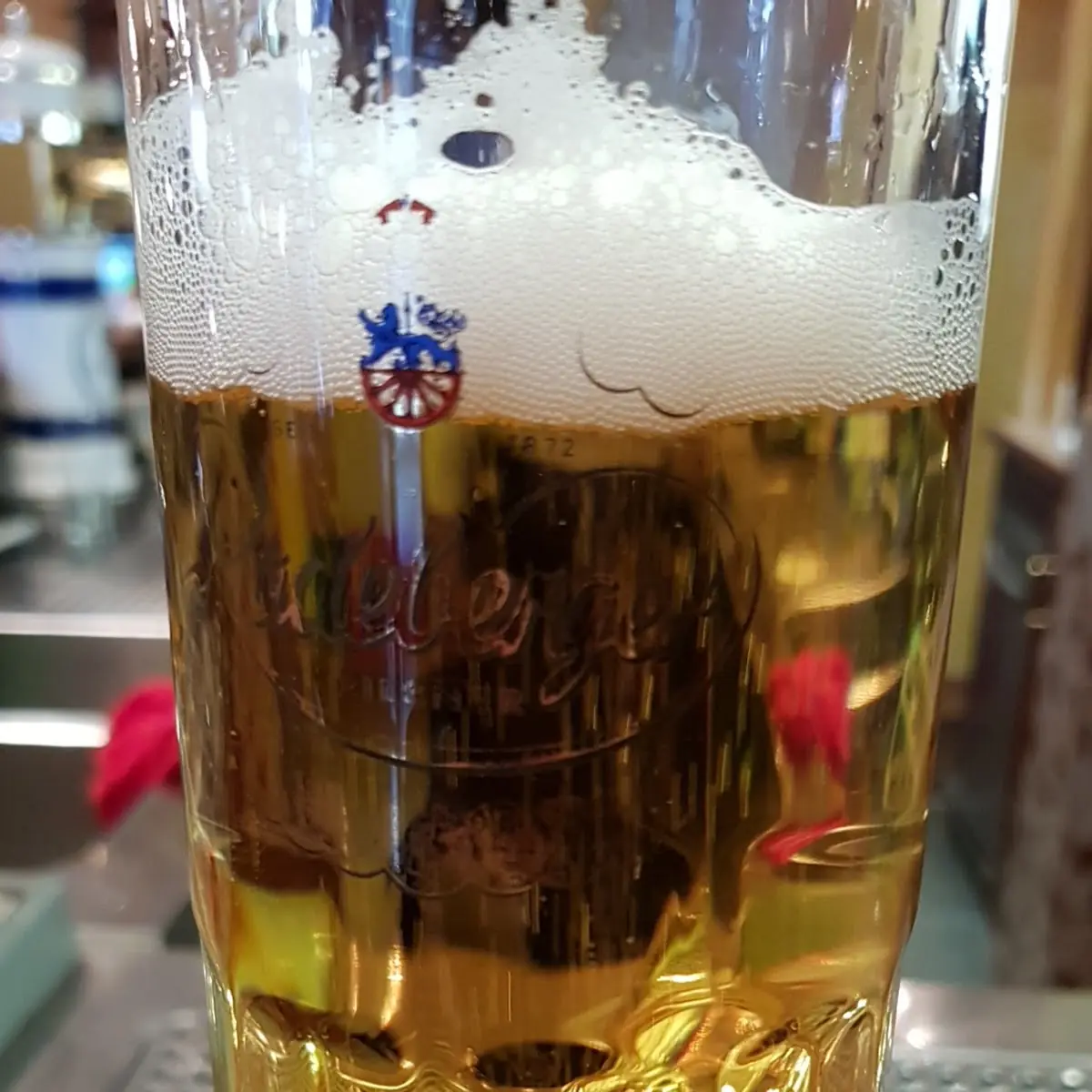 Bier