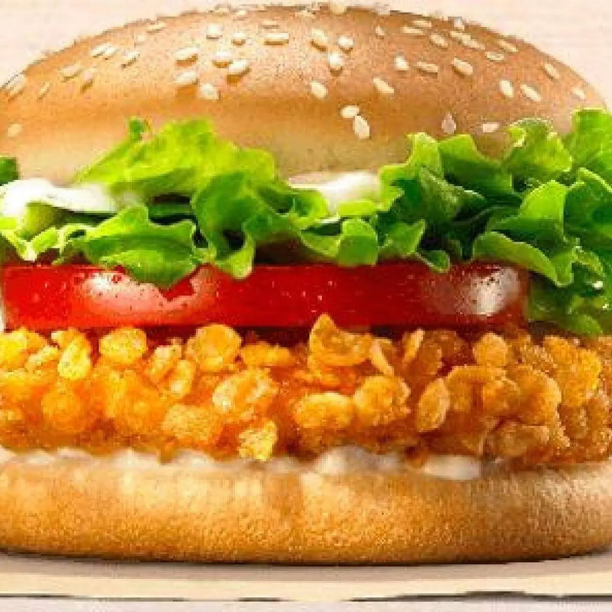 Highlights, Dhool Burger