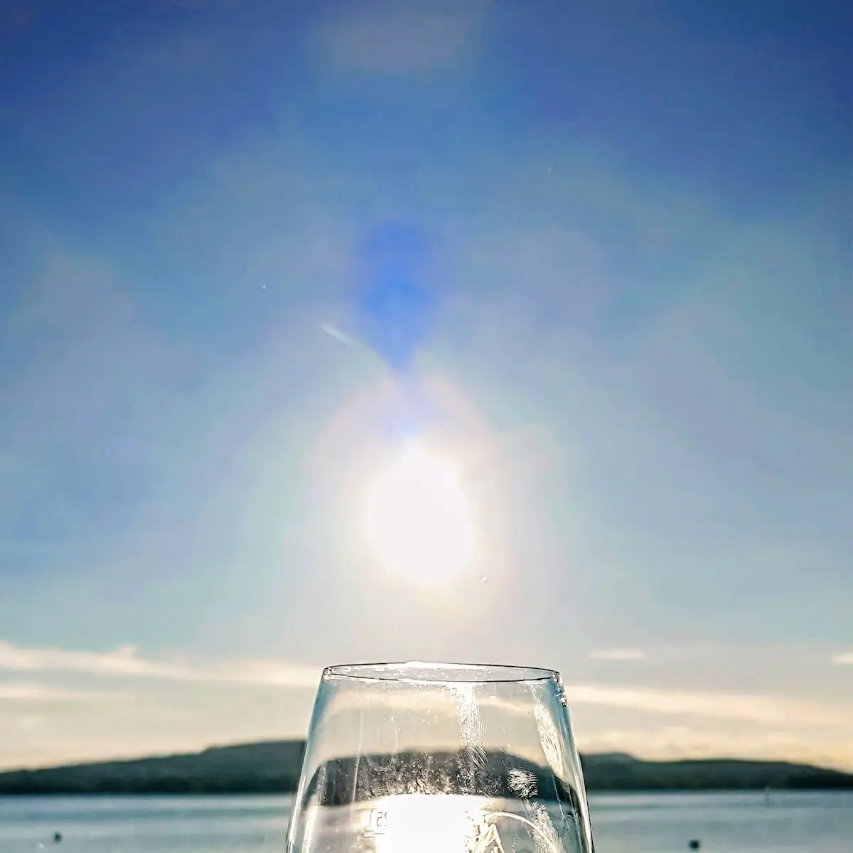 Wein
