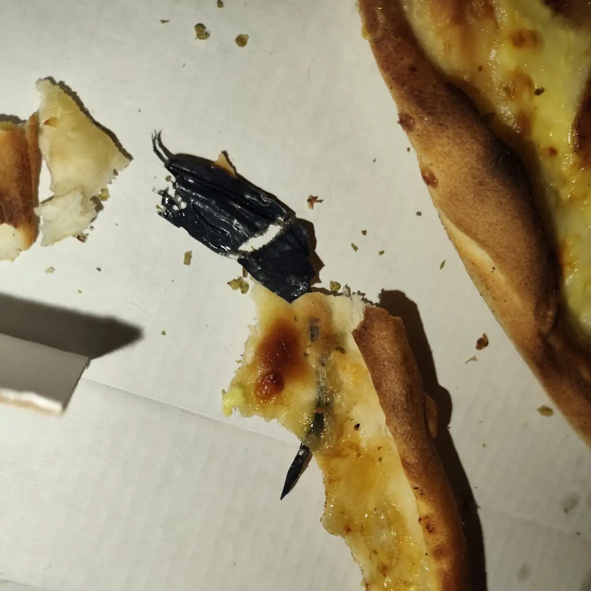 Highlight 9