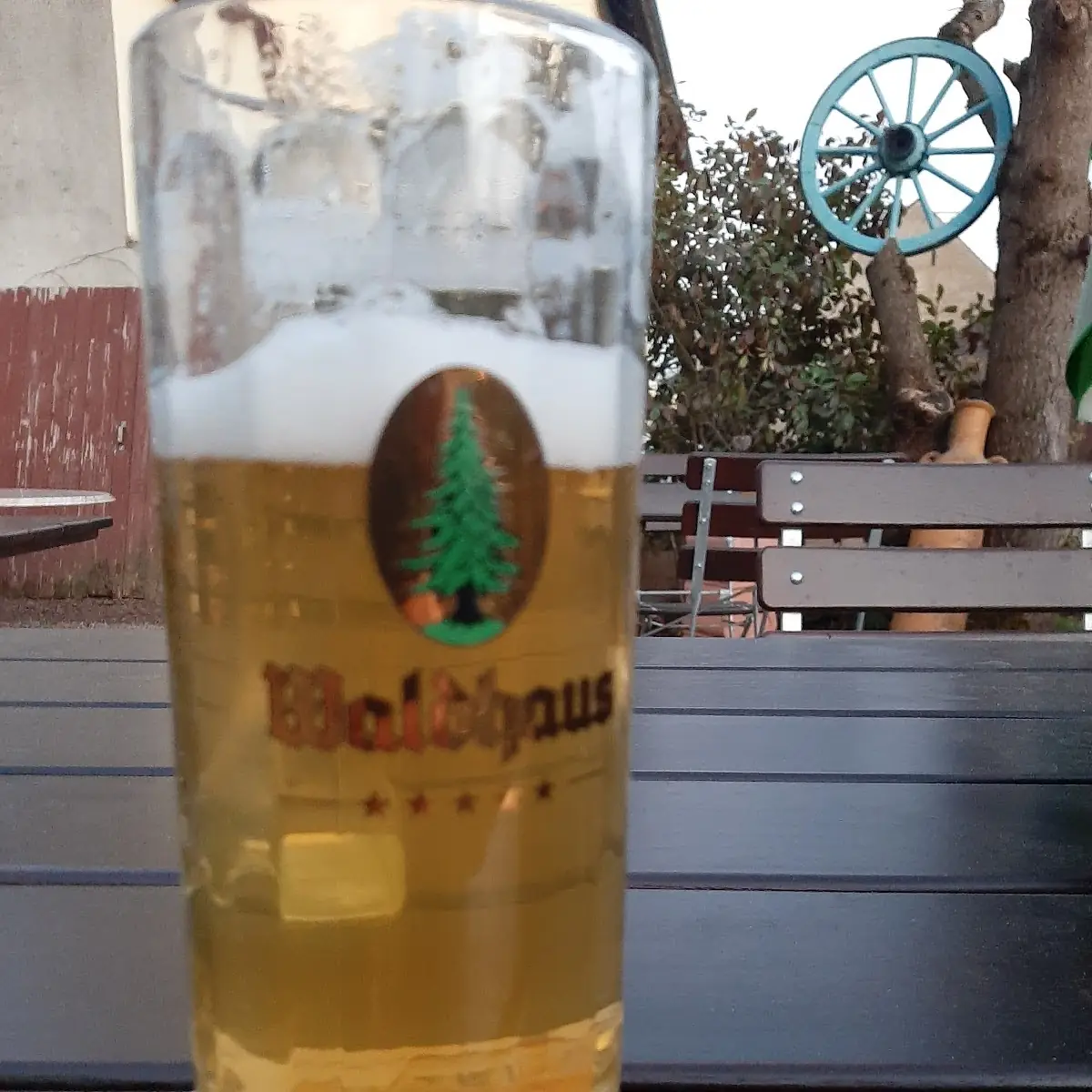 Bier