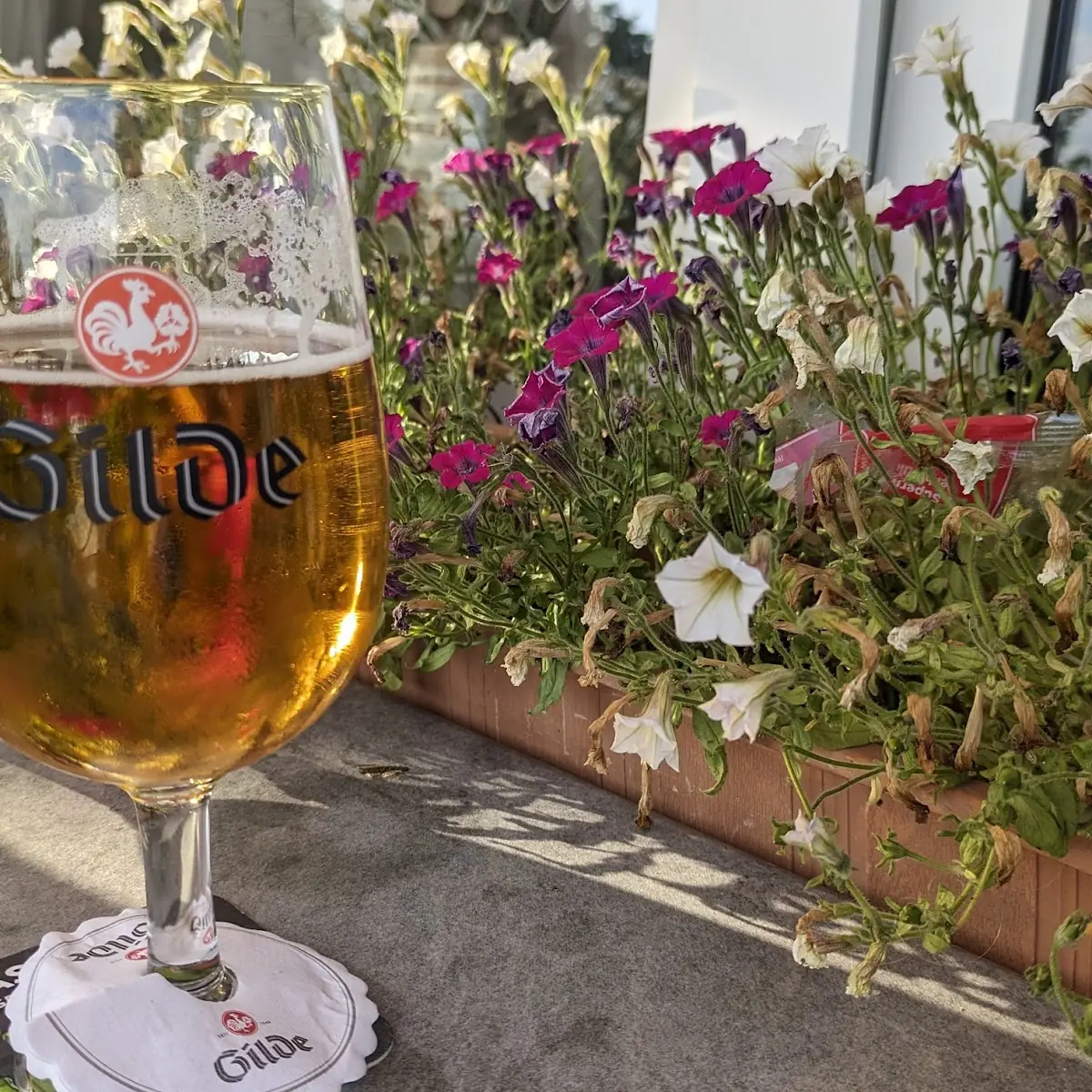 Bier