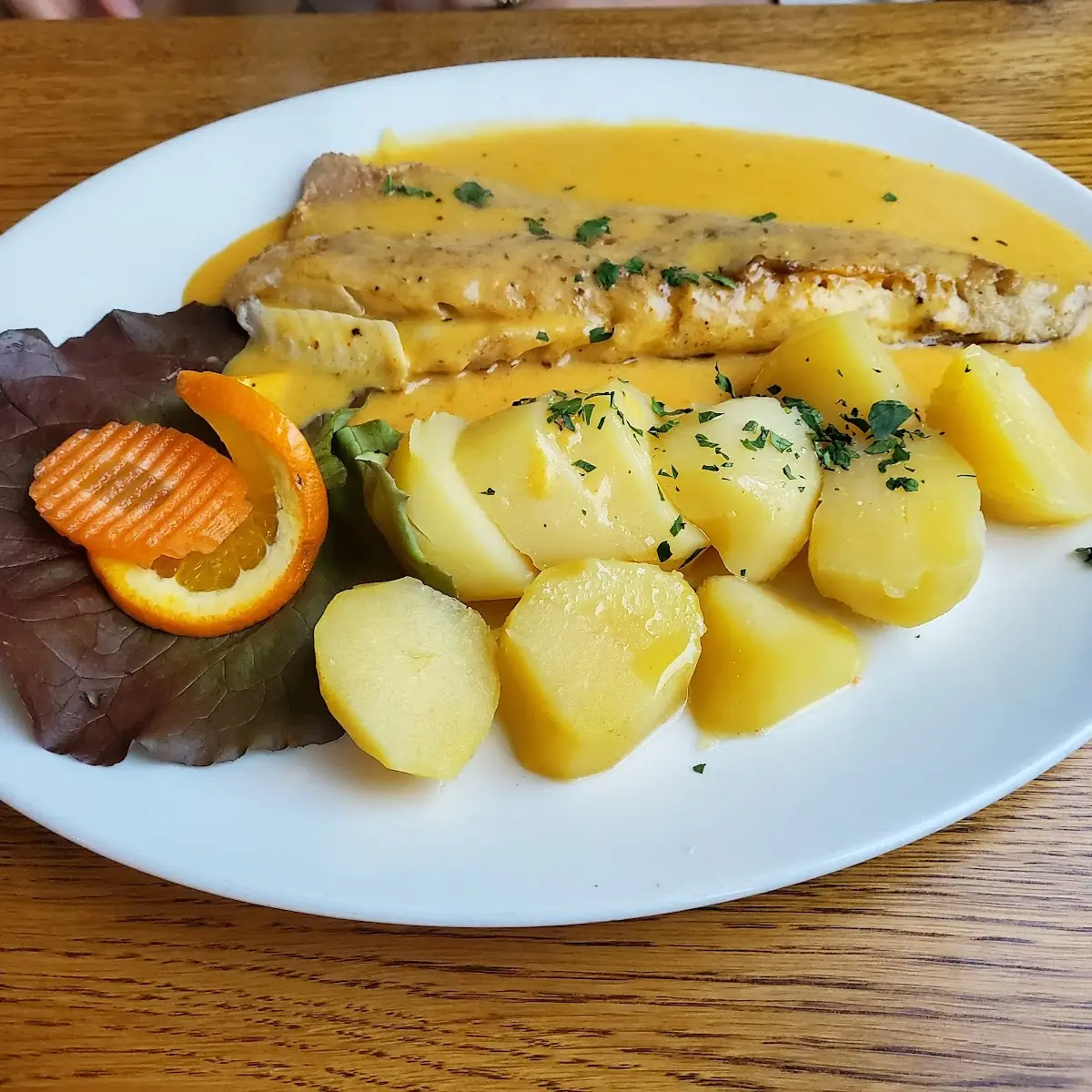 Fish