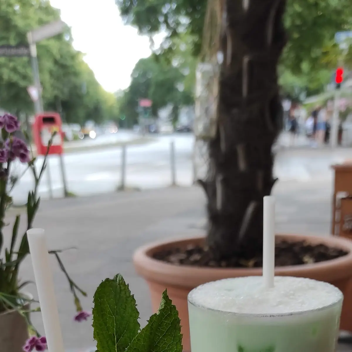 Mojito