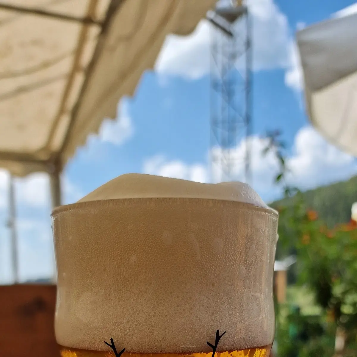 Bier