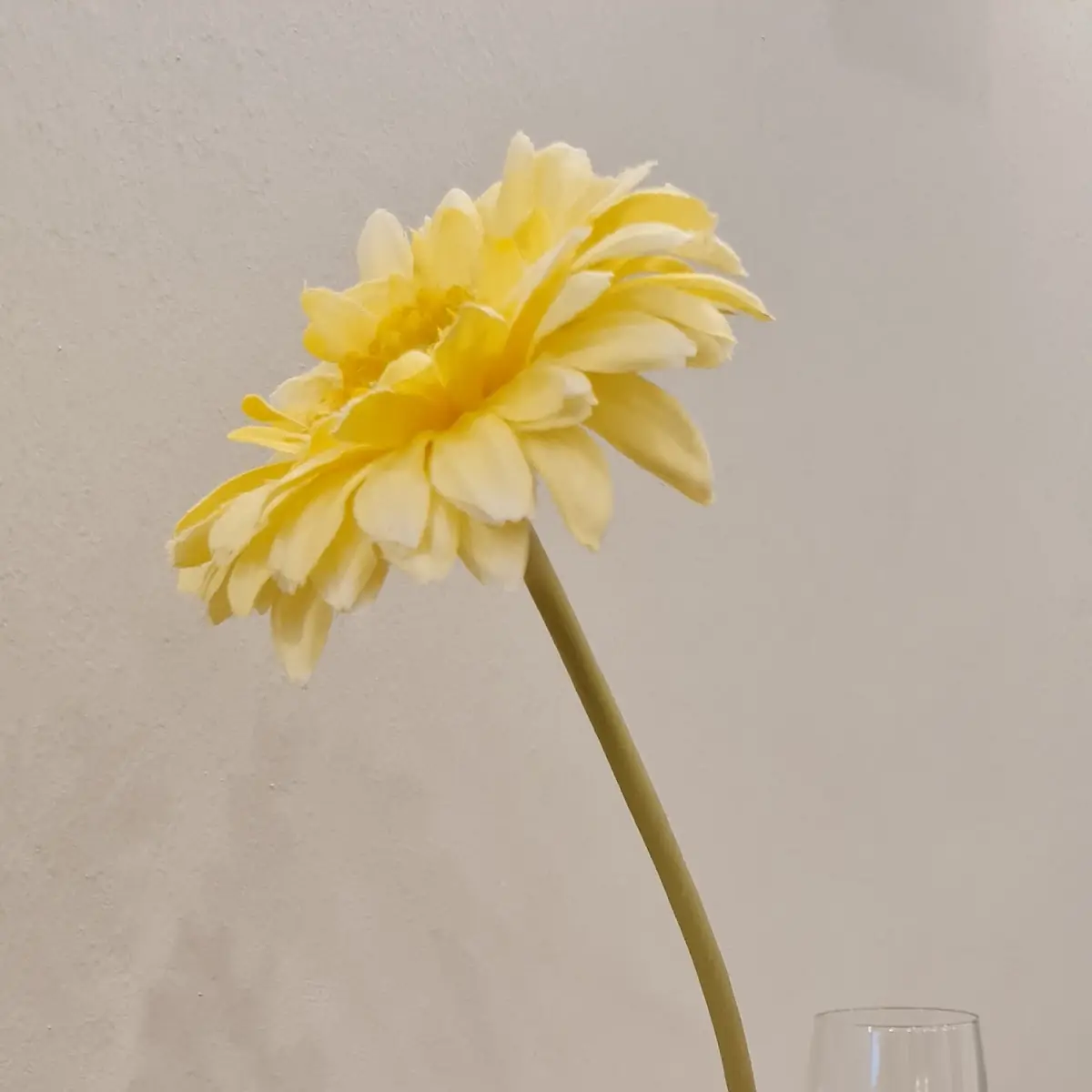 Sekt