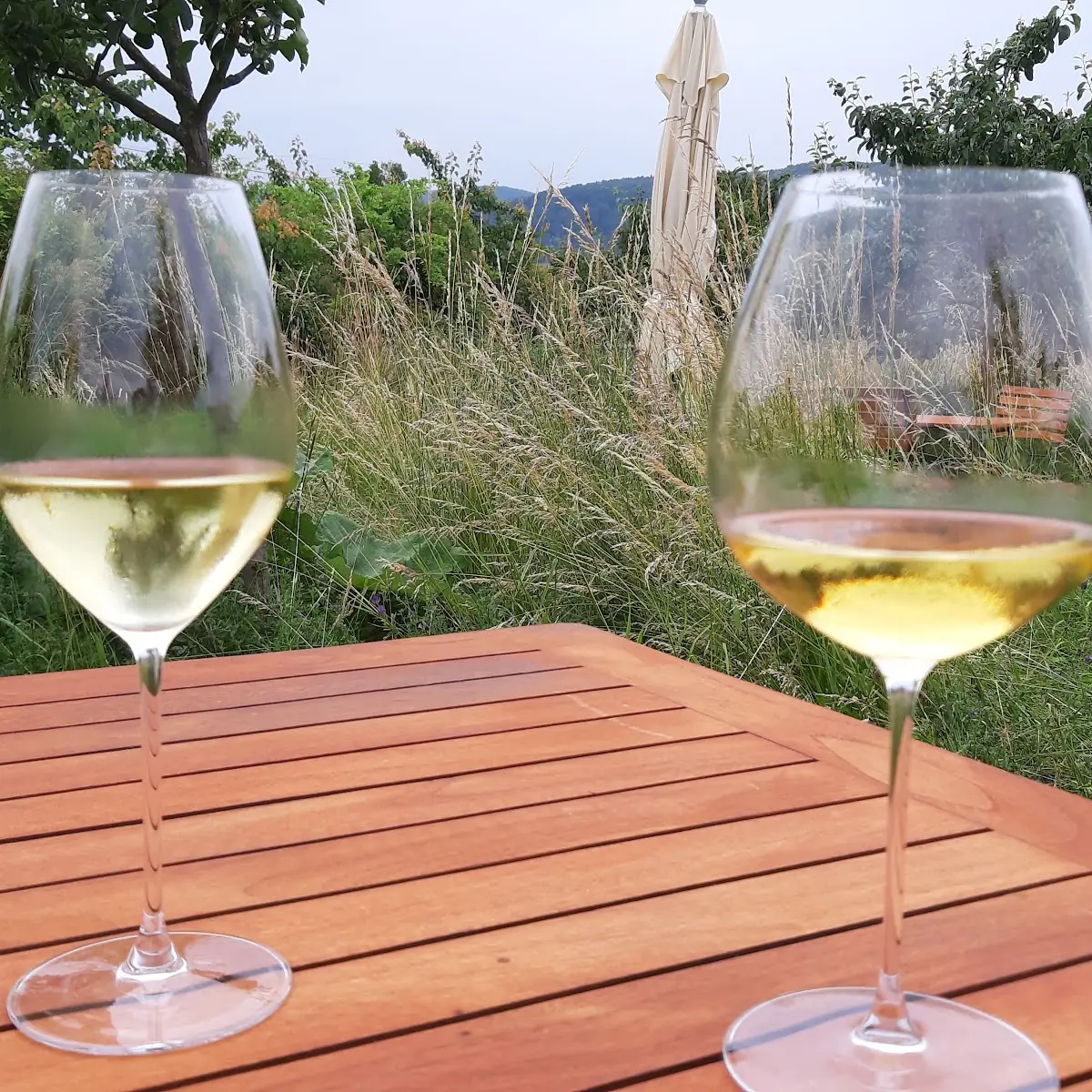 Riesling