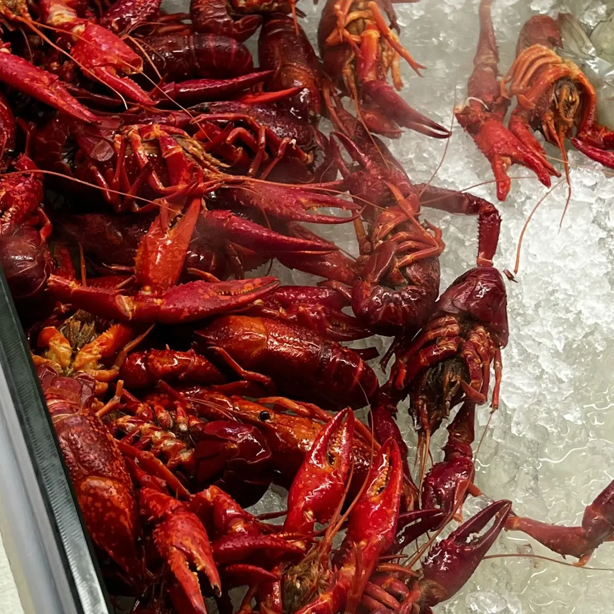 Crayfish