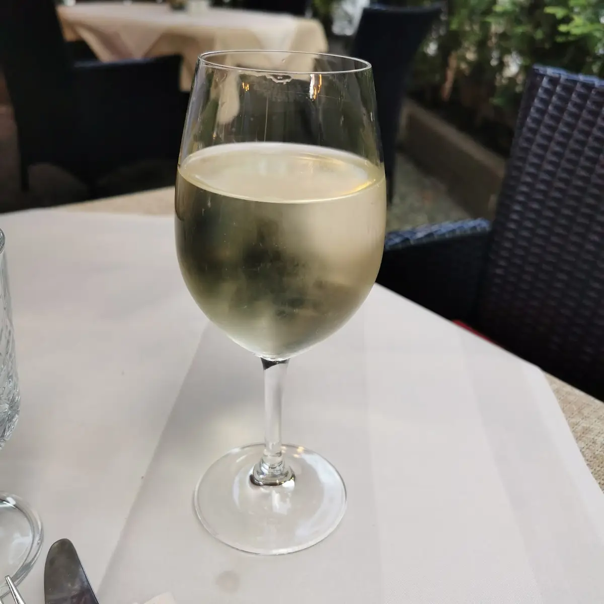 Prosecco, VILLA MEDICI - Mario Veglia Berlin