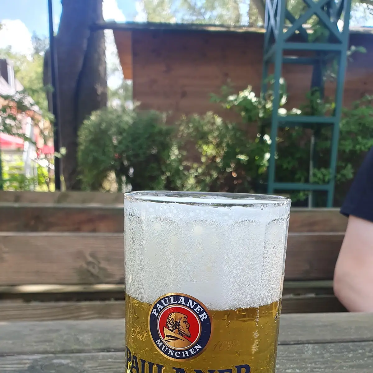 Bier