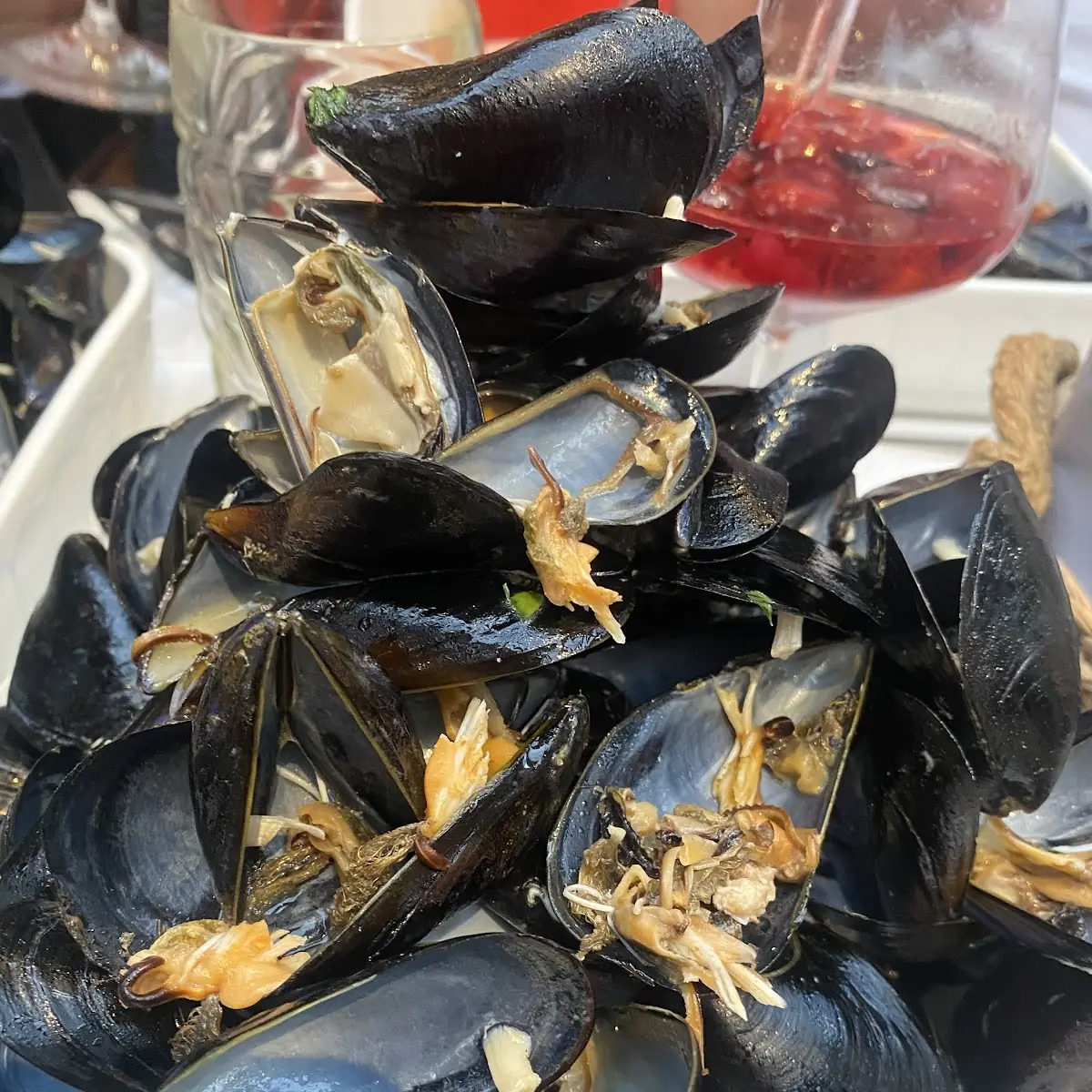 Muscheln Ekelig