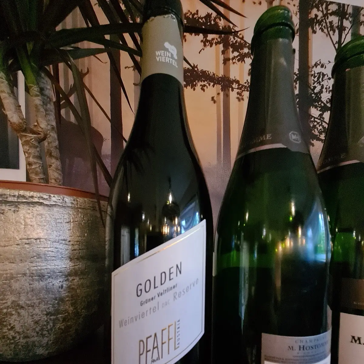 Champagne