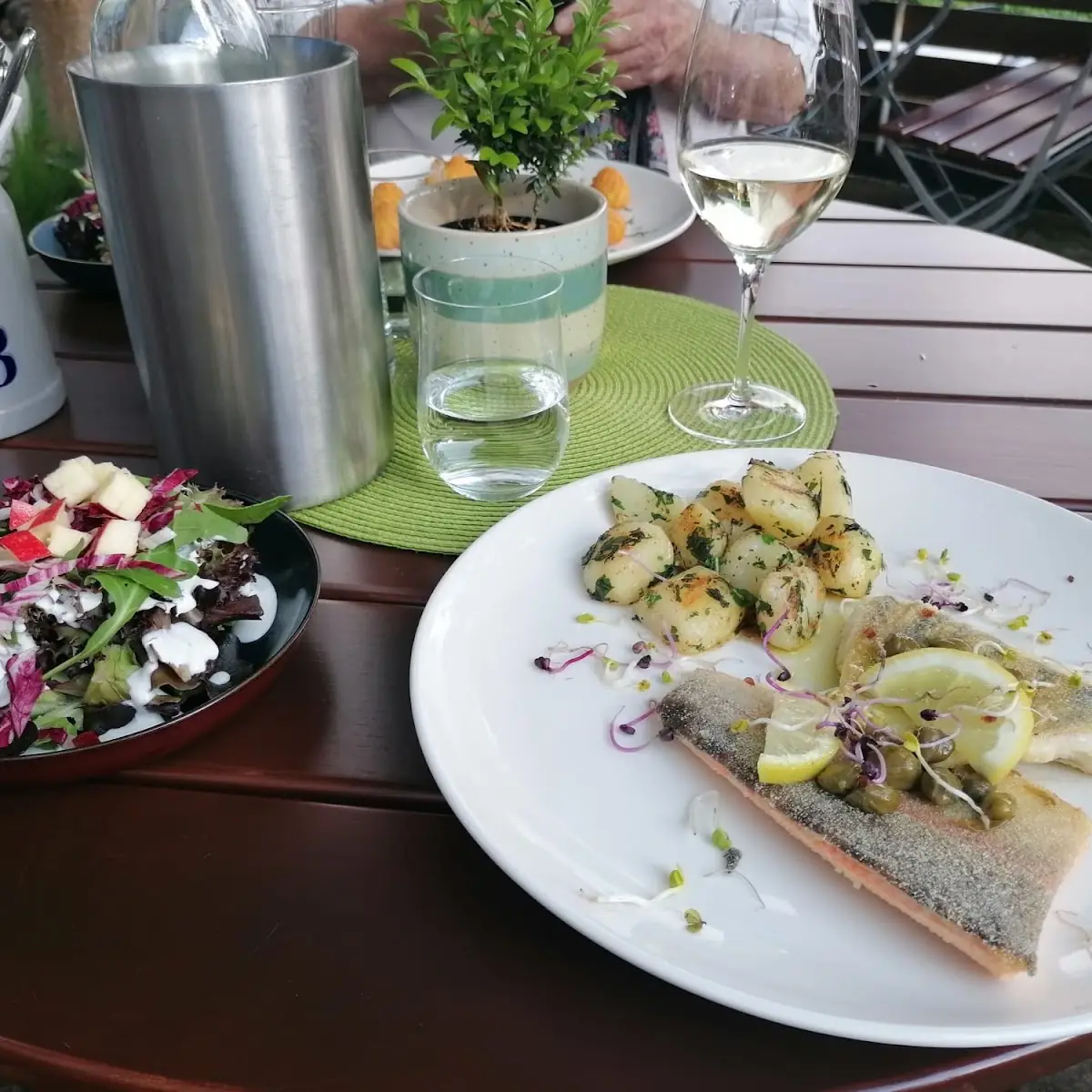 Saiblinge Filet