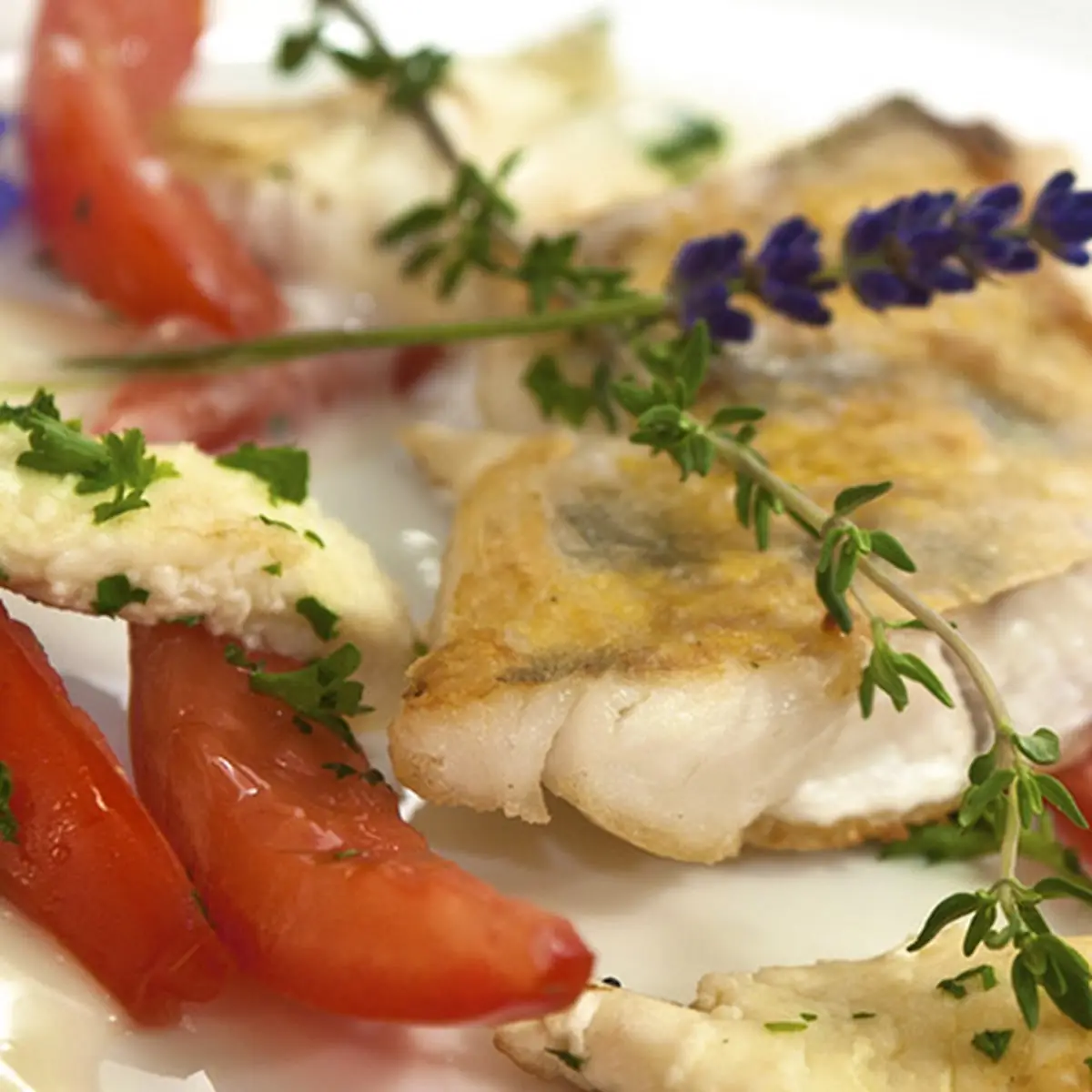 Highlights, Restaurant Fasanerie im Romantik Hotel Waldschlösschen