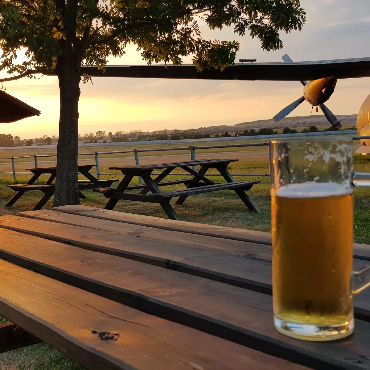 Bier