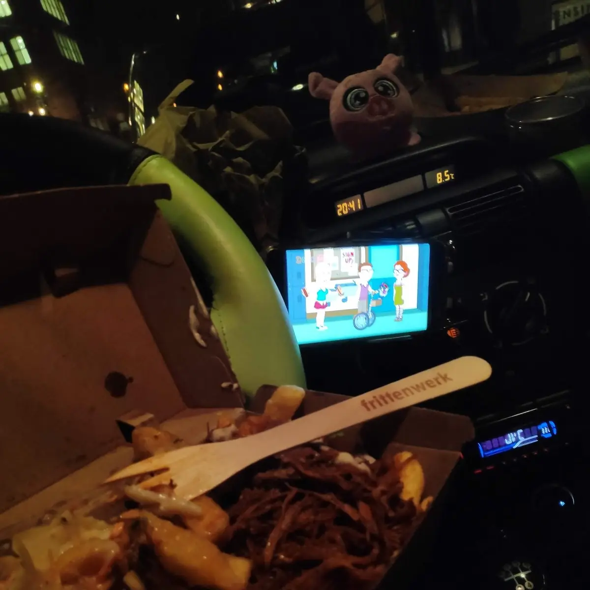 Pulled Pork Fries