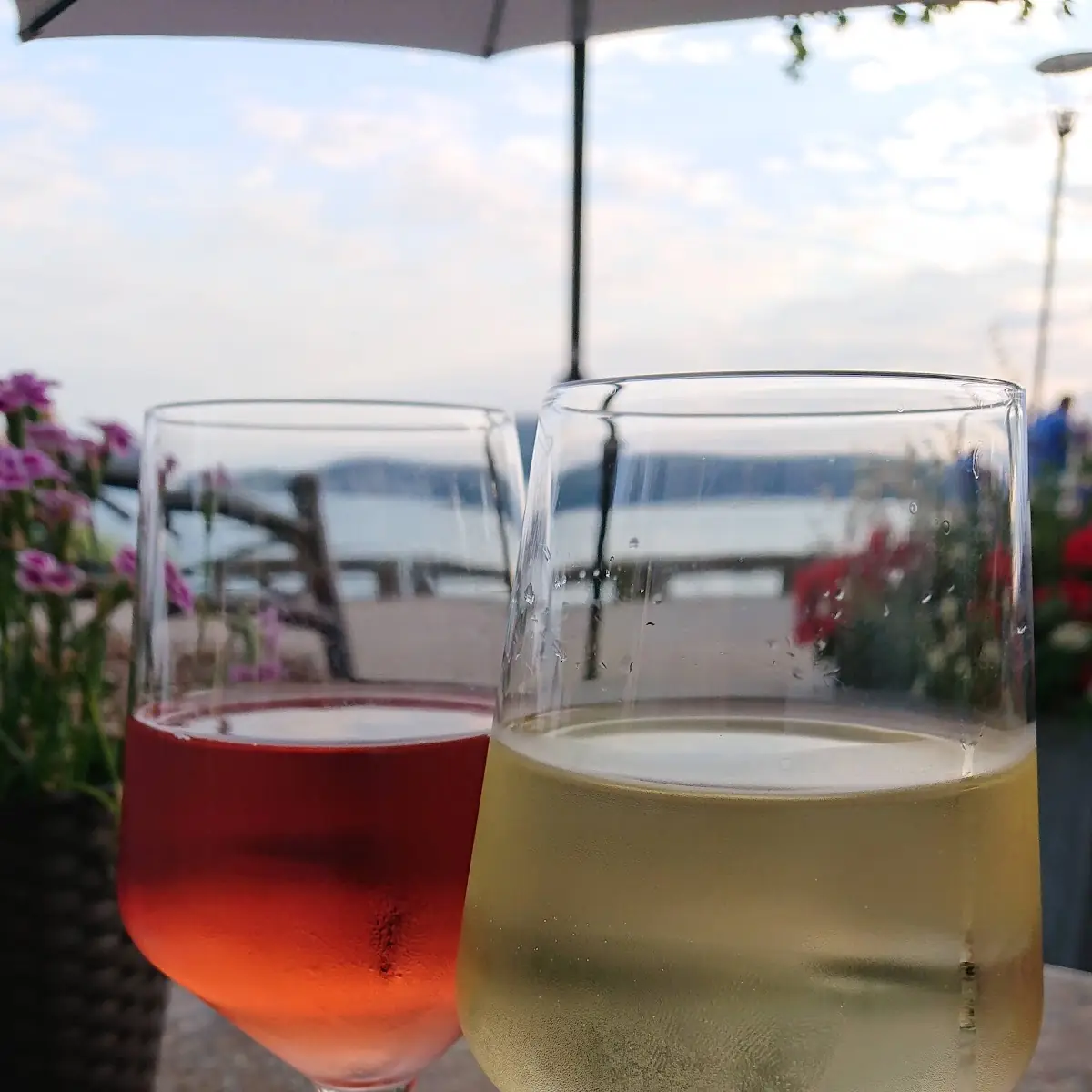 Wein