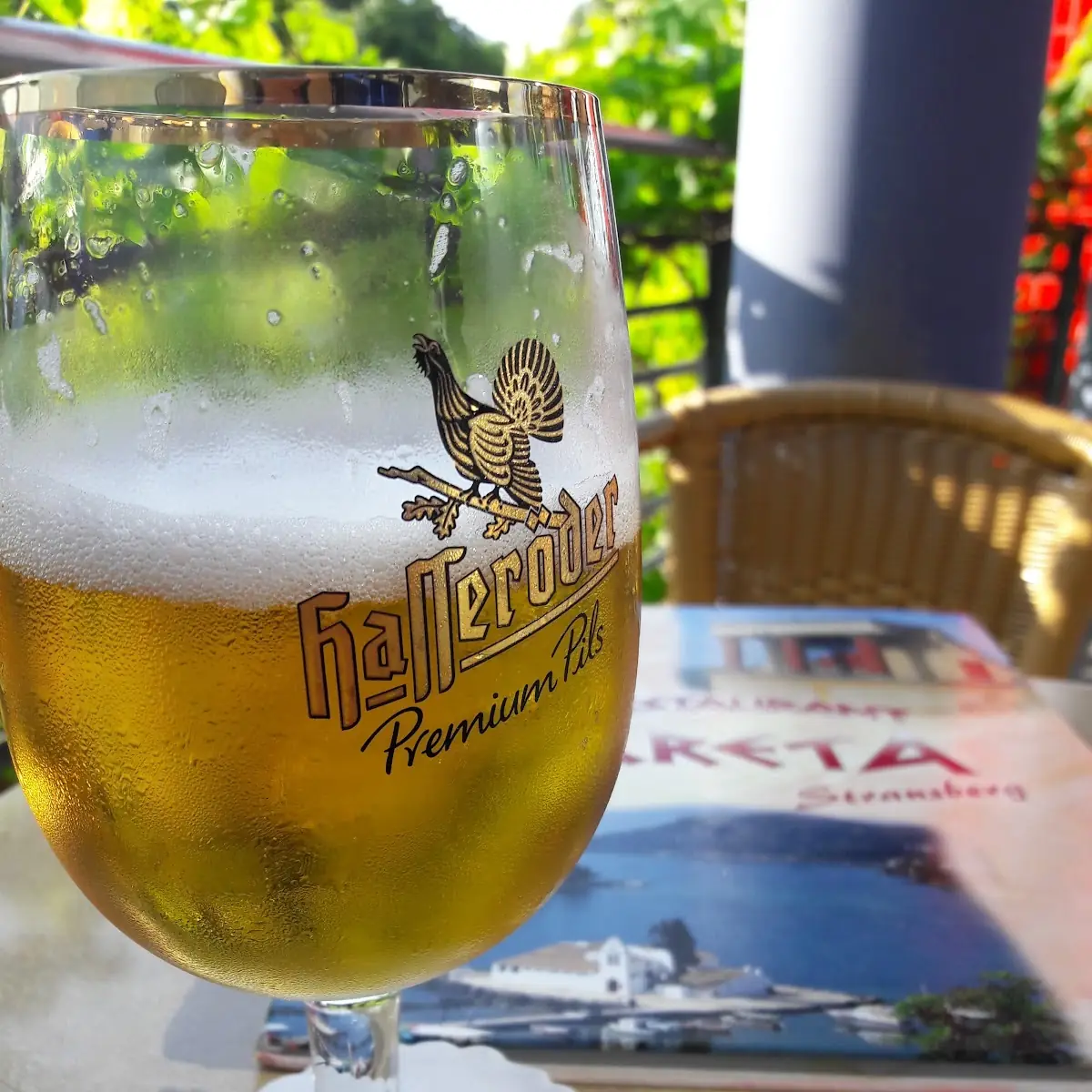 Bier