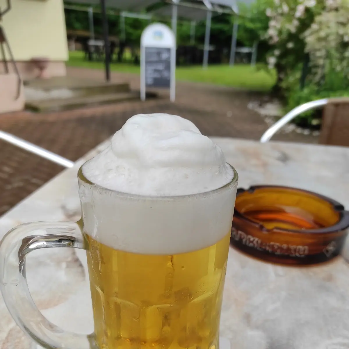 Bier