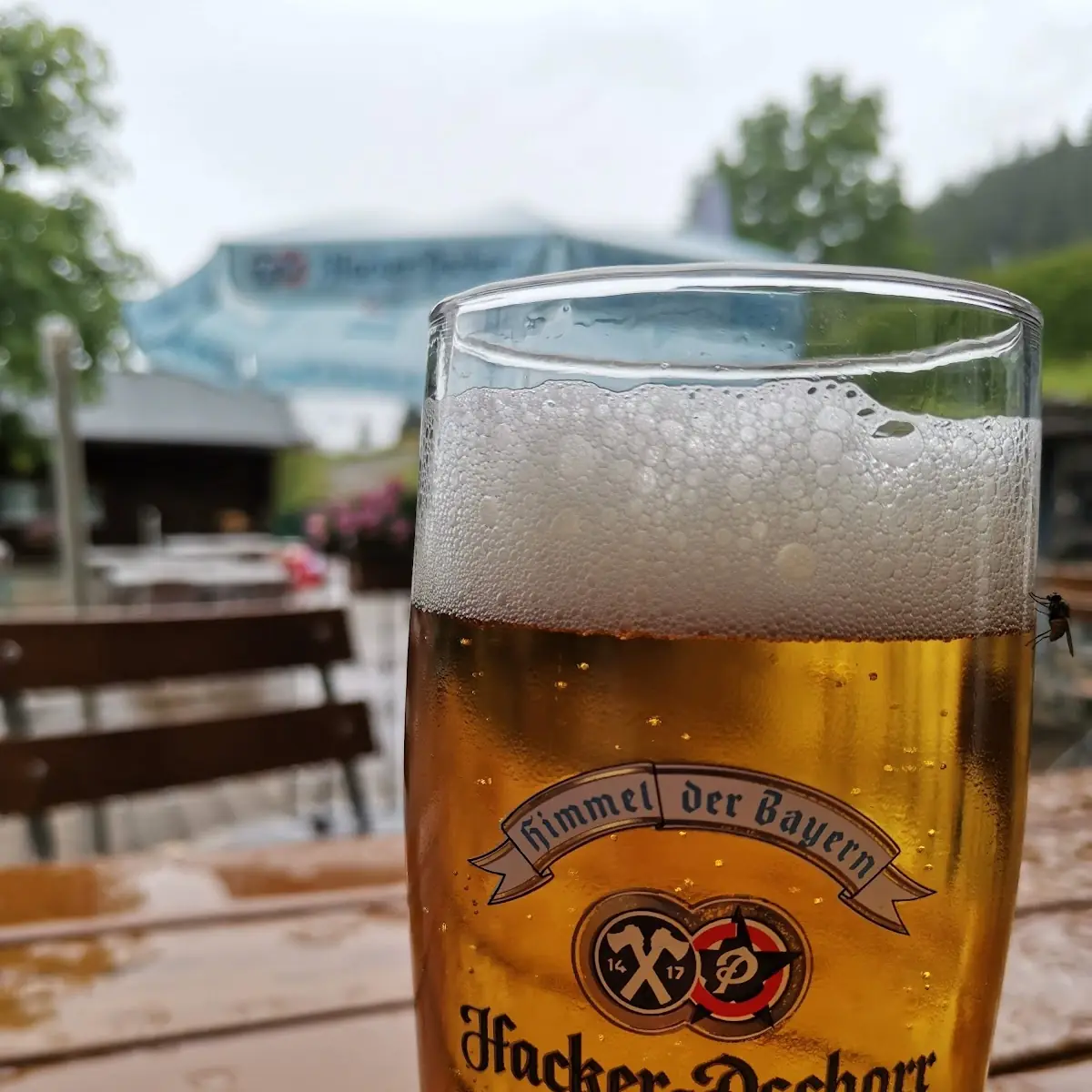 Bier, Pfeiffer-Alm
