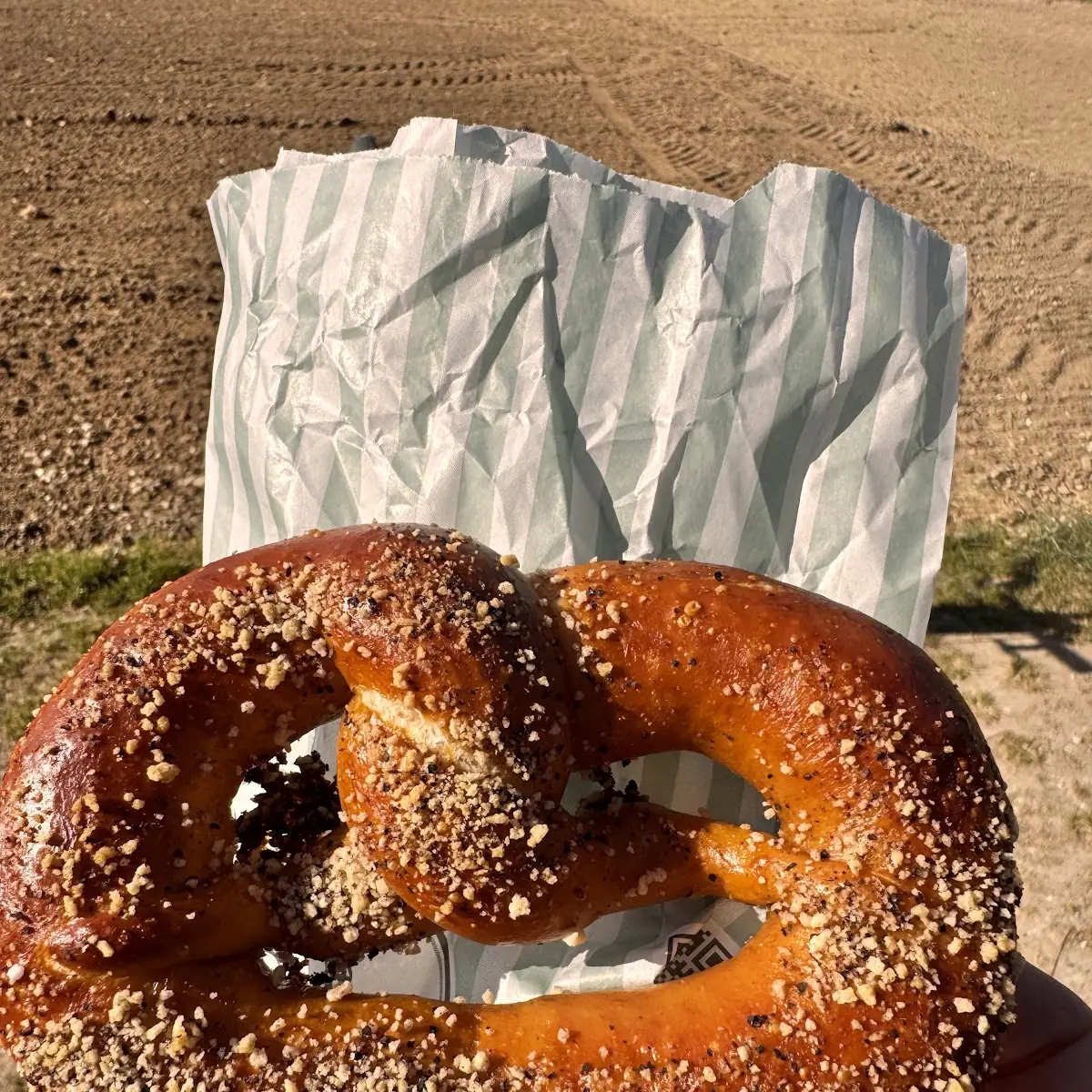 Bagel
