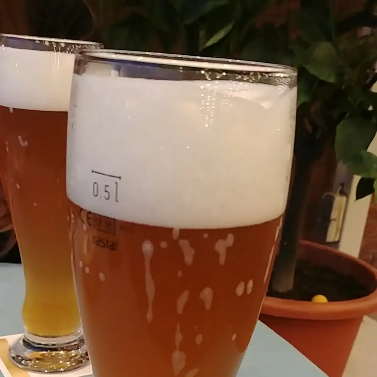 Weizenbier Hefe