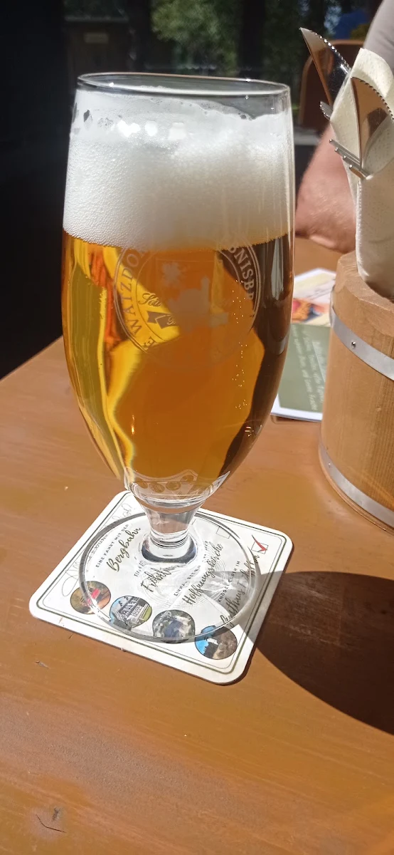 Bier