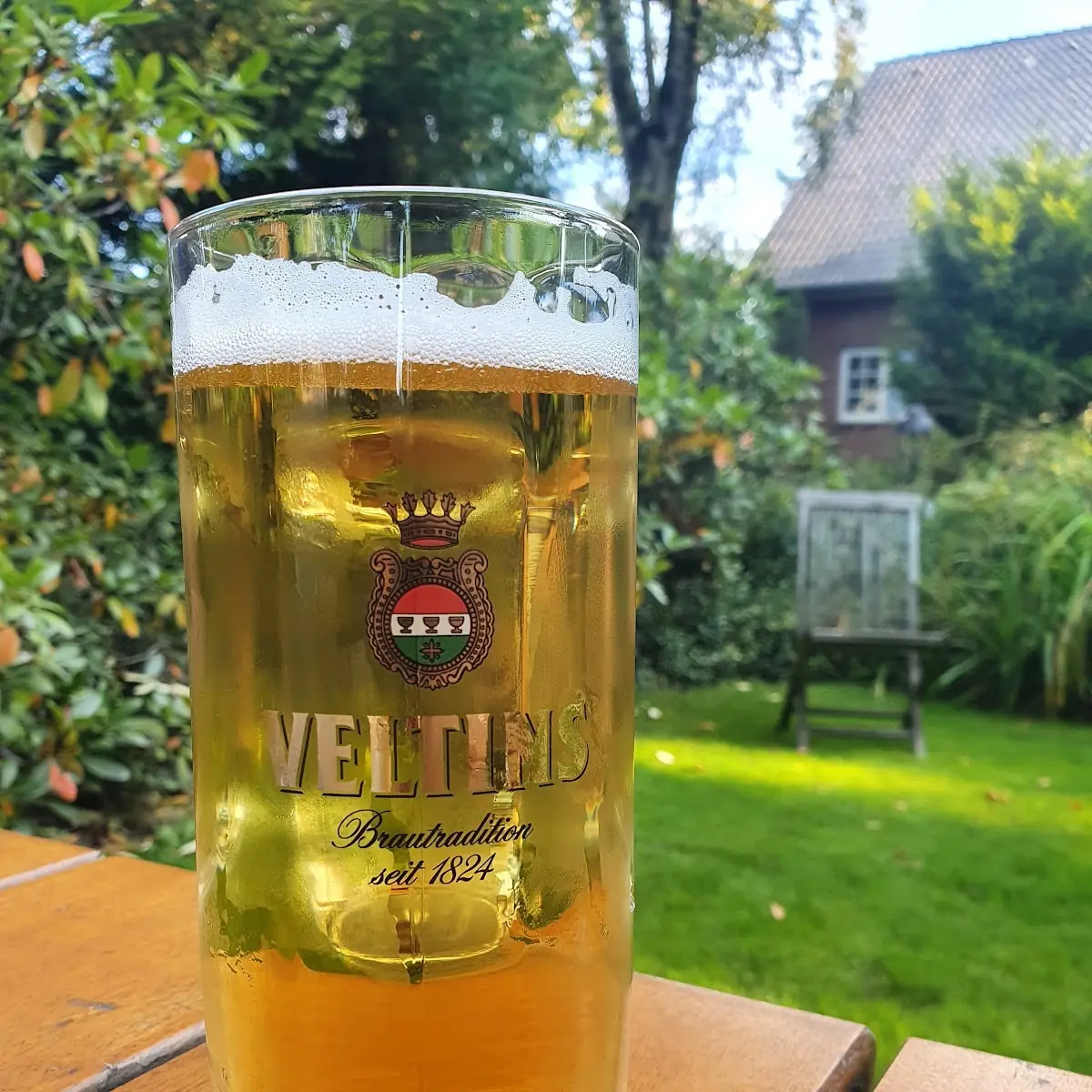 Bier