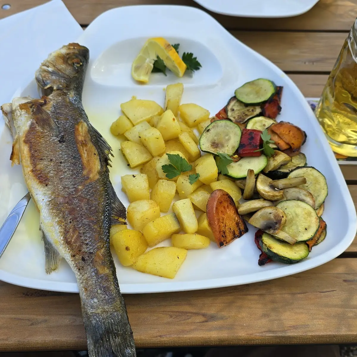 Fish