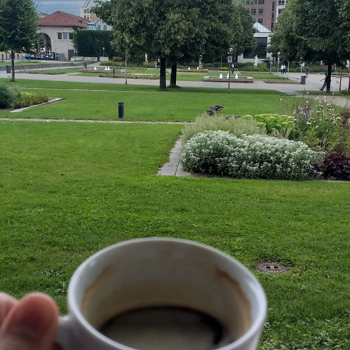 Coffee