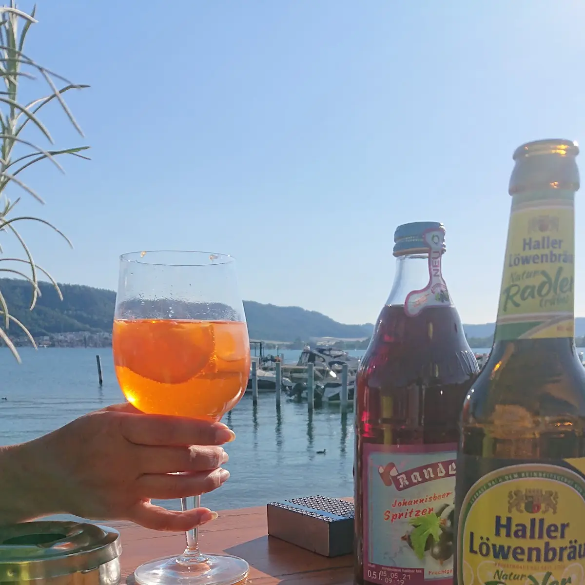 Cider