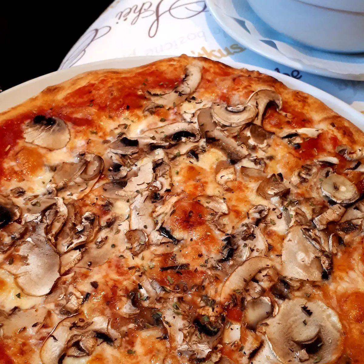 Pizza Funghi