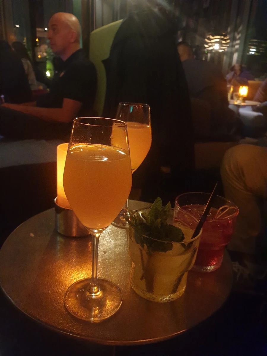 Bellini, Bar 260°