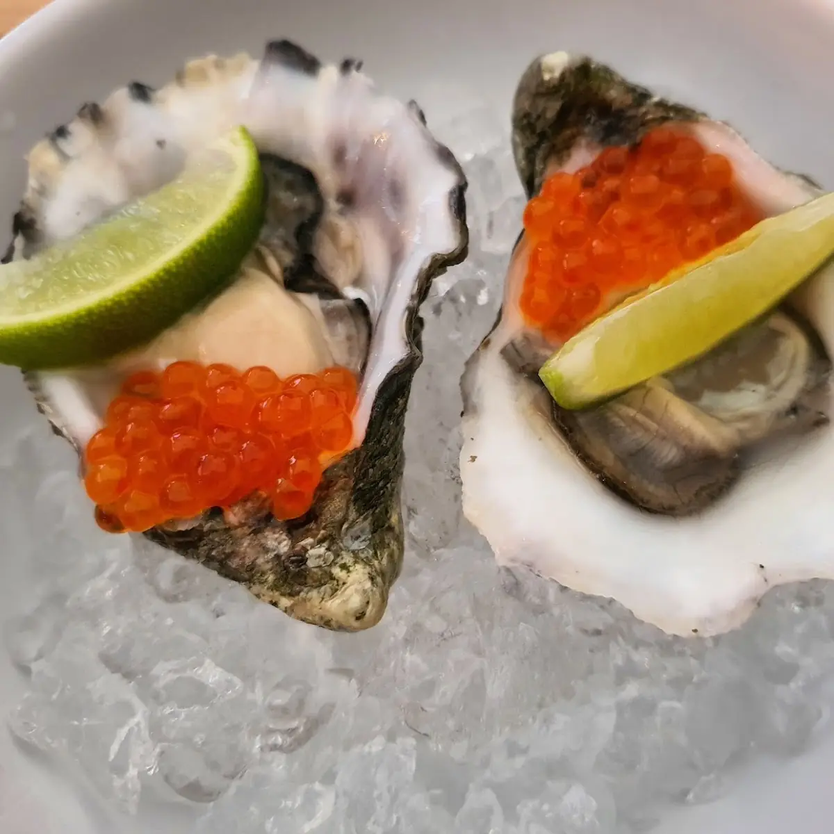 Oyster