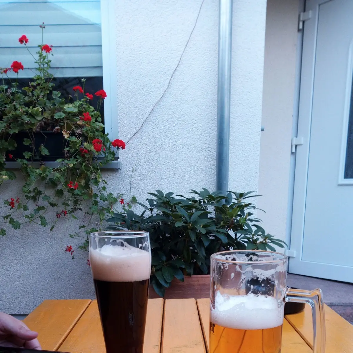 Bier