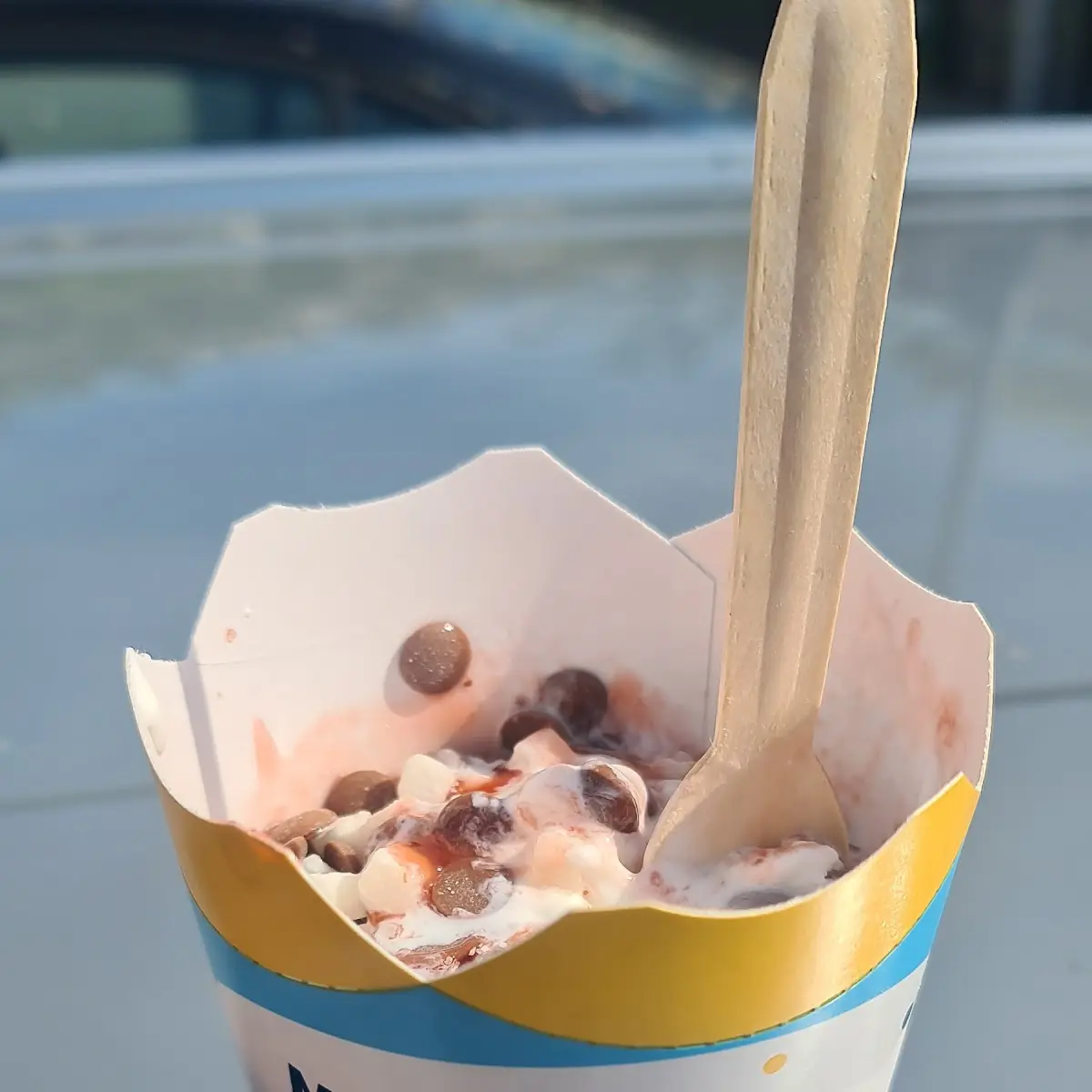 Mc Flurry Eis