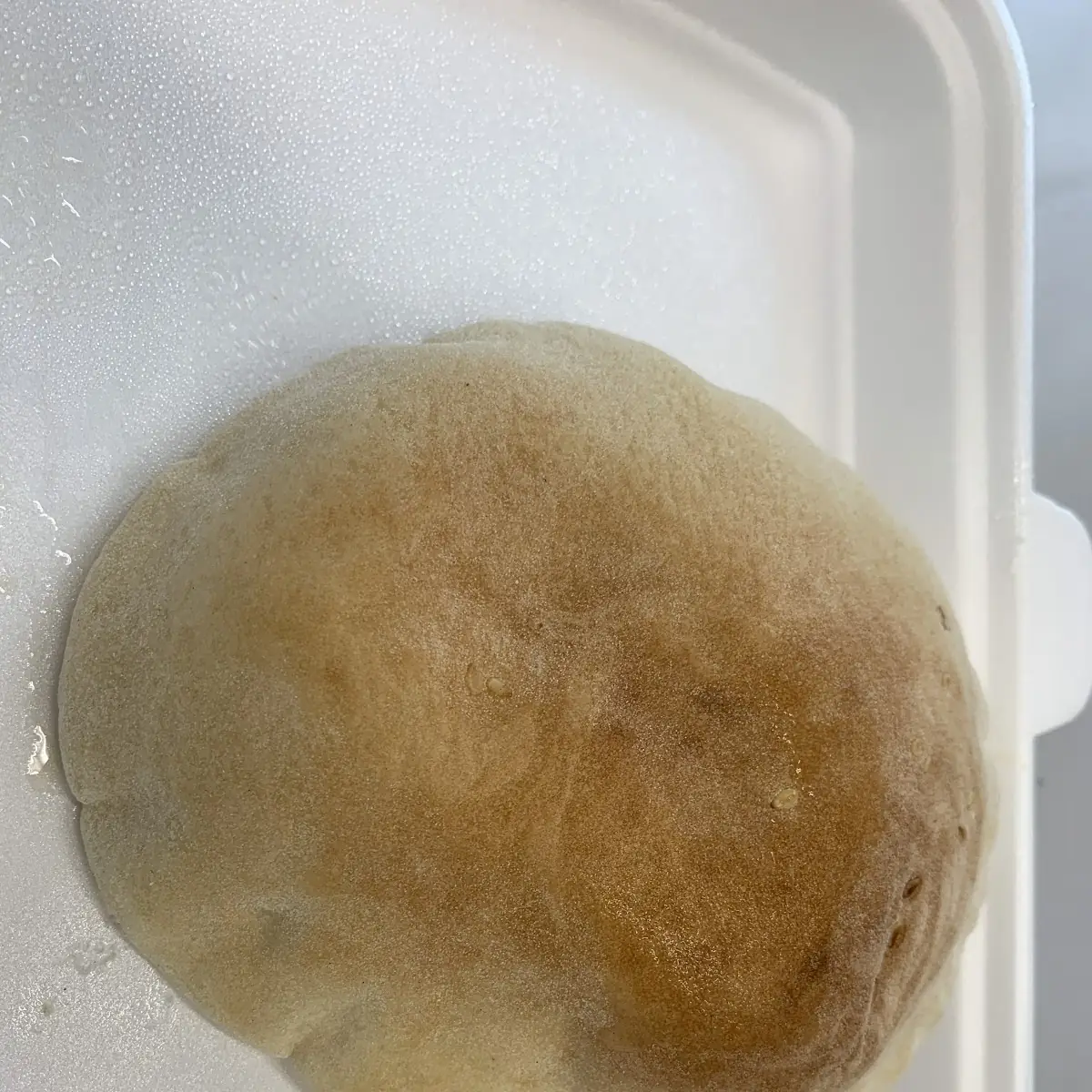 Brot