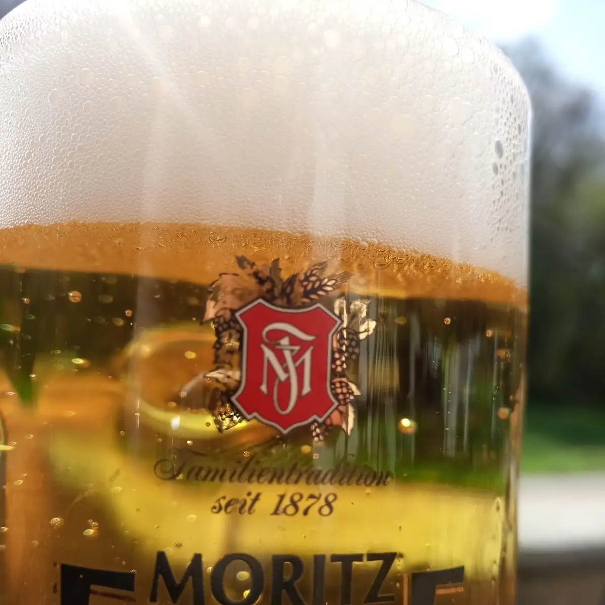 Bier