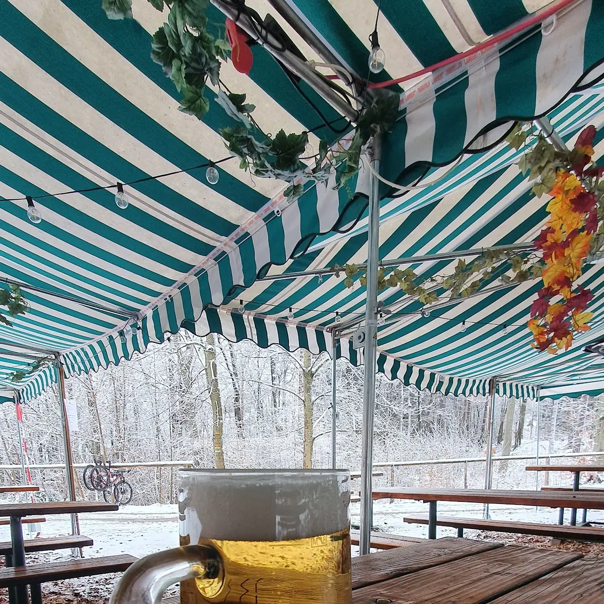 Bier