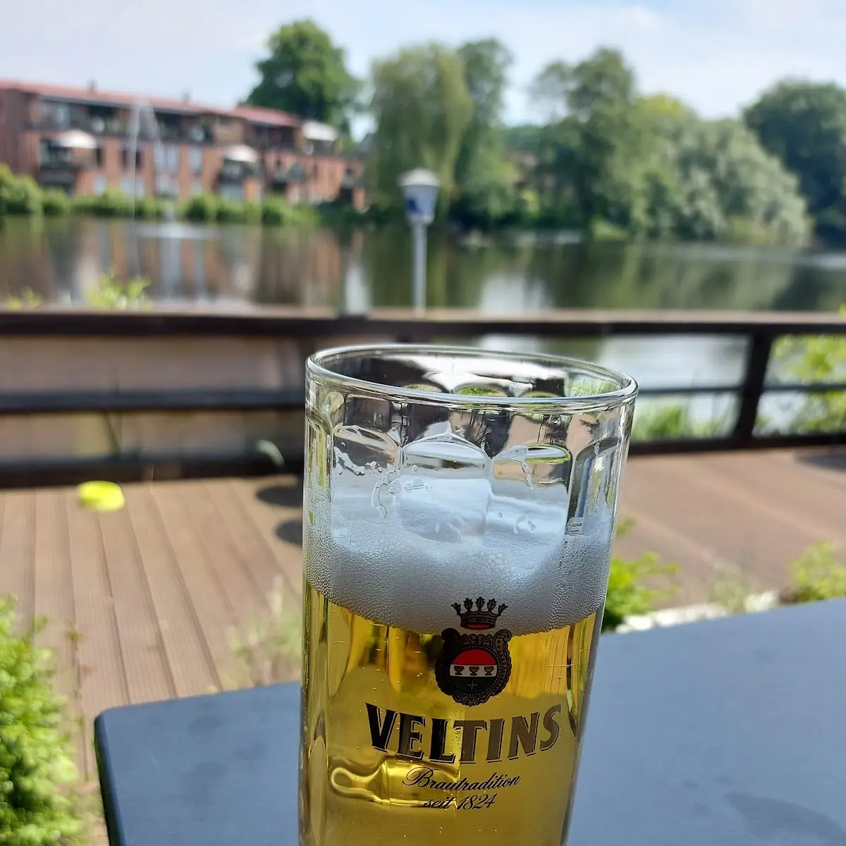Bier