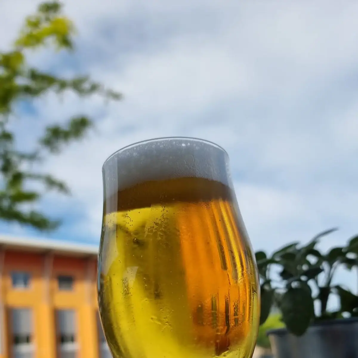 Pils, La Cucina - Ristorante Italiano