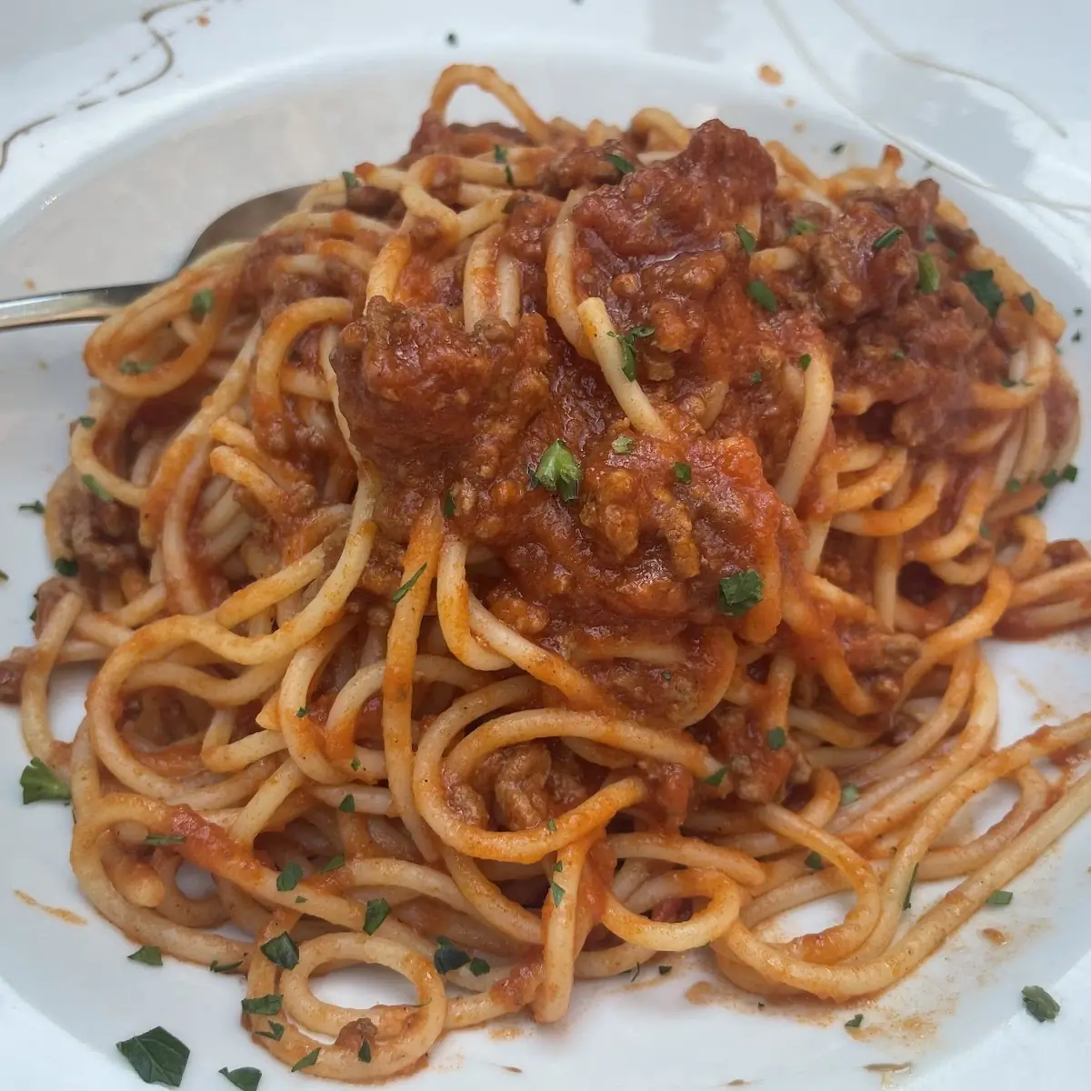 Bolognese
